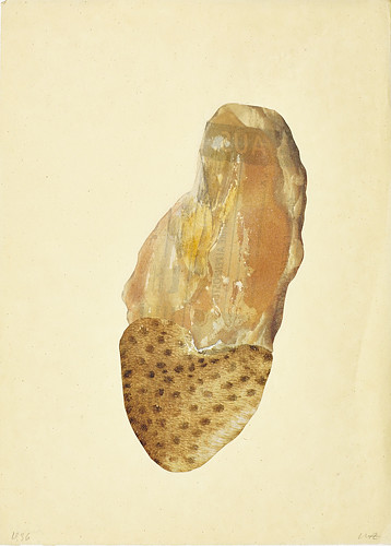 Signes de vie, 1996